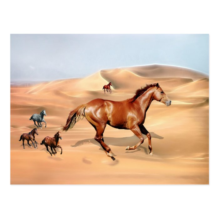 Wild horses and sand dunes post cards