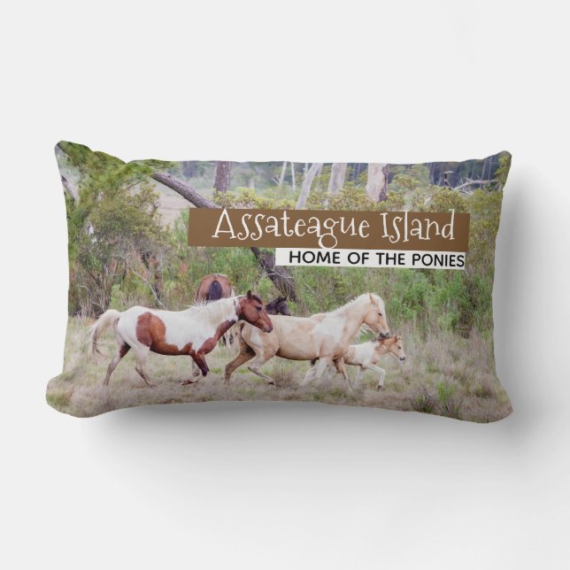 Wild Horses - Assateague Island Lumbar Pillow (Front)