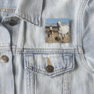 Wild Horses at Home in the Sandwash Basin Button