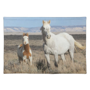Wild Horses at Home in the Sandwash Basin Cloth Placemat