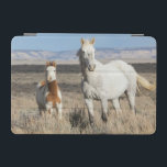 Wild Horses at Home in the Sandwash Basin iPad Mini Cover<br><div class="desc">Wild Horses,  mare and foal at home in the Sandwash Basin</div>