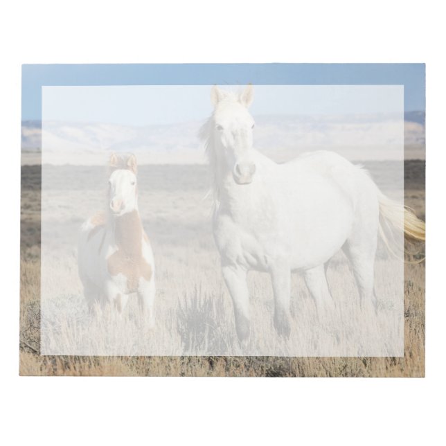 Wild Horses at Home in the Sandwash Basin Notepad (Front)