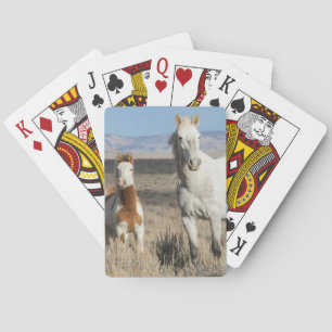 Wild Horses at Home in the Sandwash Basin Poker Cards