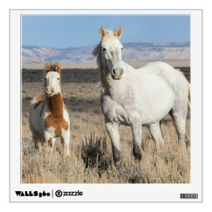 Wild Horses at Home in the Sandwash Basin Wall Decal