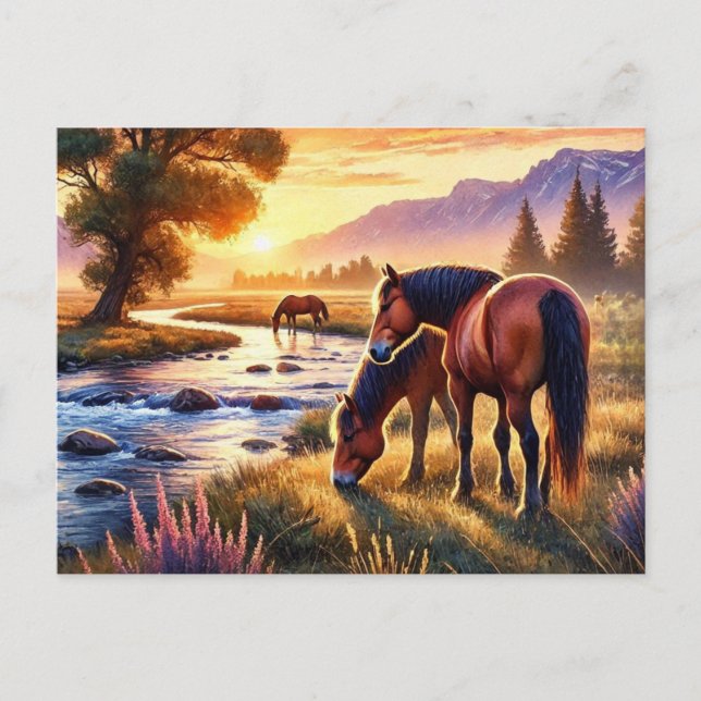 Wild Horses at Sunset  Postcard (Front)
