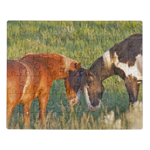 Wild Horses at Theodore Roosevelt National Park Jigsaw Puzzle