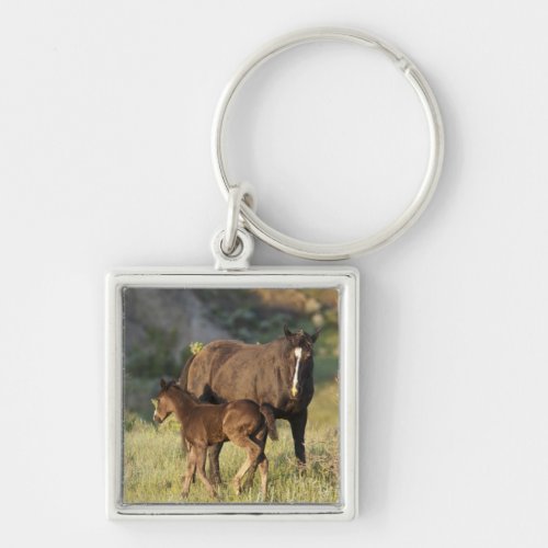 Wild Horses at Theodore Roosevelt National Park Keychain