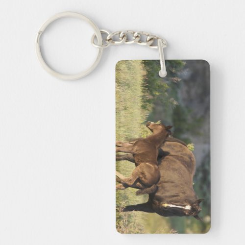 Wild Horses at Theodore Roosevelt National Park Keychain