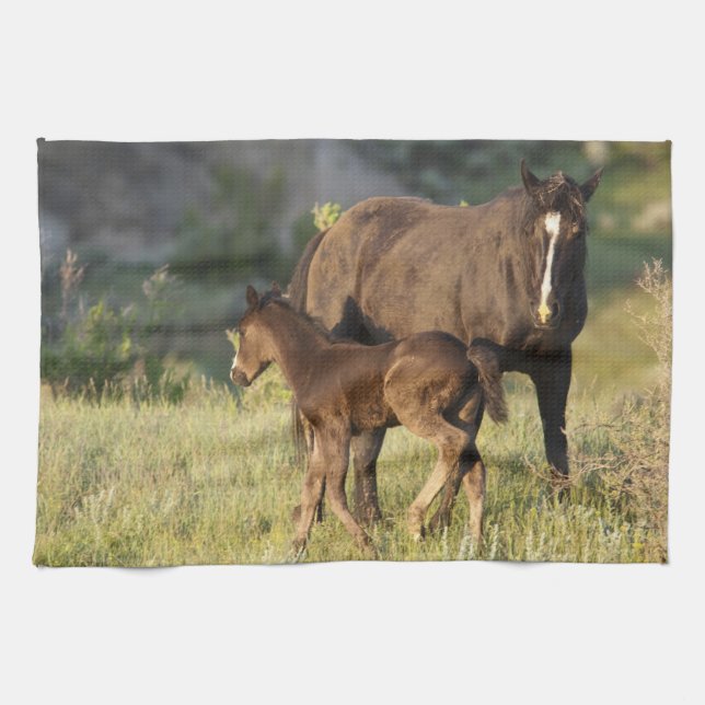 Wild Horses at Theodore Roosevelt National Park Kitchen Towel (Horizontal)