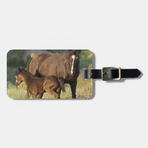 Wild Horses at Theodore Roosevelt National Park Luggage Tag