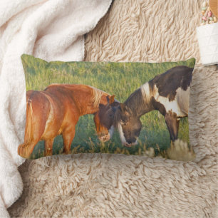 Wild Horses at Theodore Roosevelt National Park Lumbar Pillow