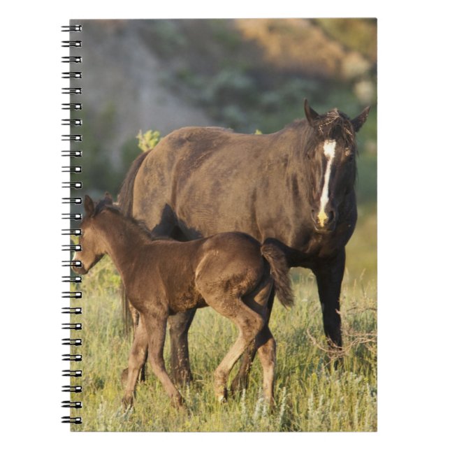 Wild Horses at Theodore Roosevelt National Park Notebook (Front)