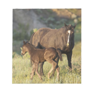 Wild Horses at Theodore Roosevelt National Park Notepad