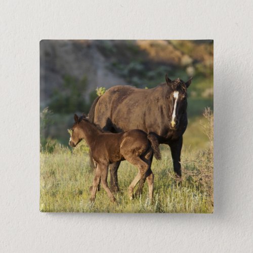 Wild Horses at Theodore Roosevelt National Park Pinback Button