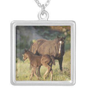 Wild Horses at Theodore Roosevelt National Park Silver Plated Necklace