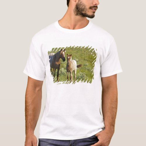 Wild Horses at Theodore Roosevelt National T_Shirt