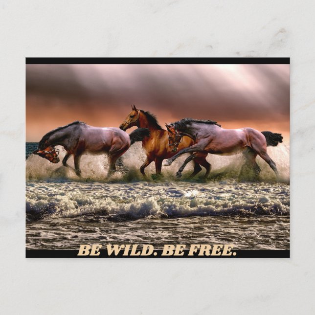 Wild horses - be wild. be free. postcard (Front)