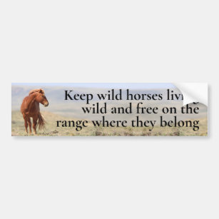 Wild Horses Bumper Sticker