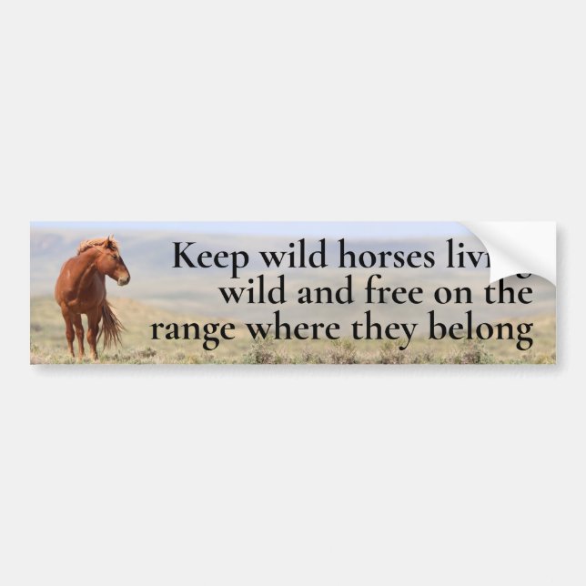 Wild Horses Bumper Sticker (Front)