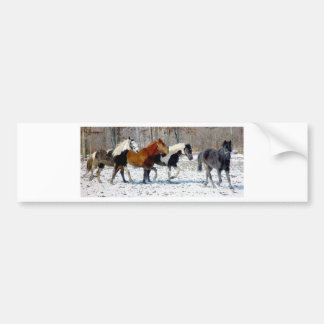 Wild Horses Bumper Sticker