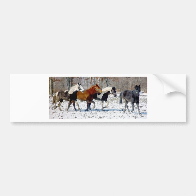 Wild Horses Bumper Sticker (Front)