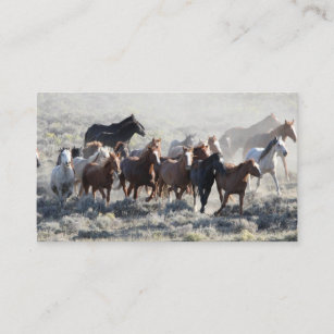 Wild Horses Business Card