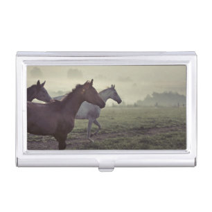 Wild horses business card case