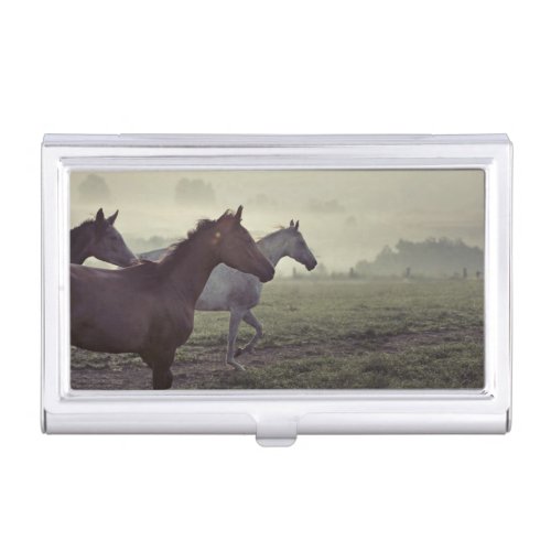 Wild horses business card case