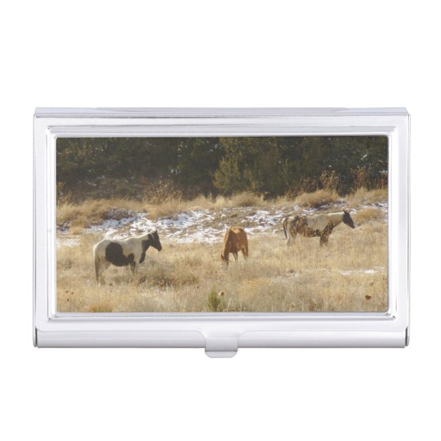 Wild Horses Business Card Holder (Front)