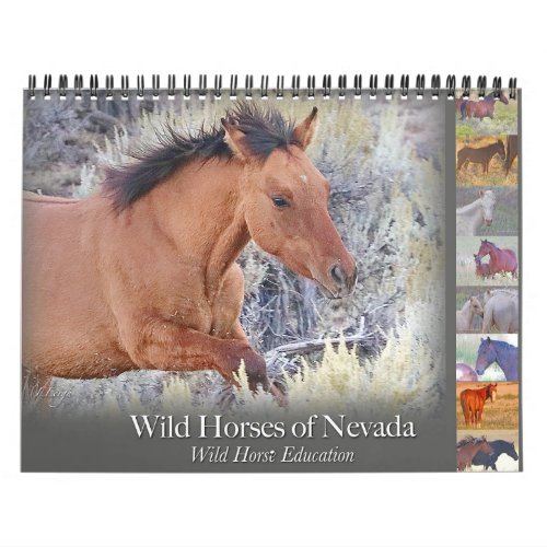 Wild Horses calendar 