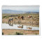 Wild Horses