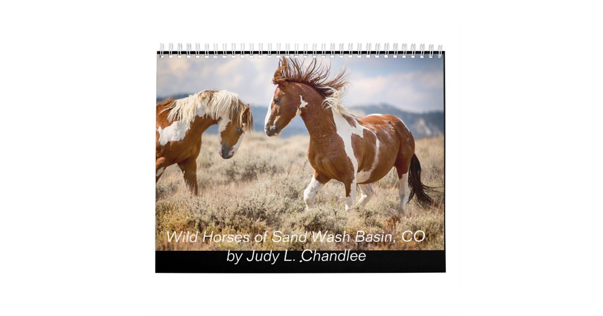 Wild Horses Calendar | Zazzle