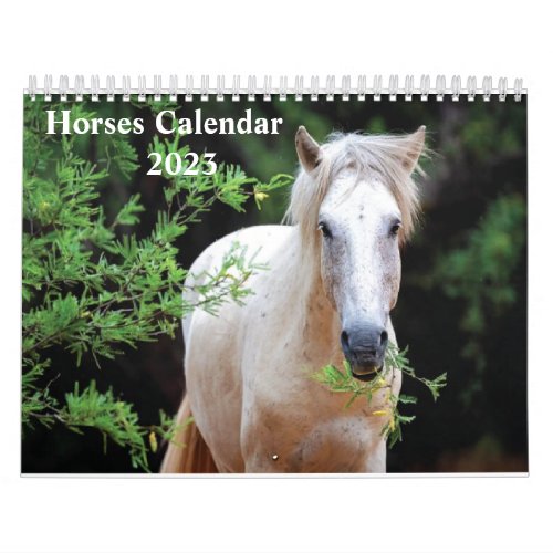 Wild Horses Calendar 2023