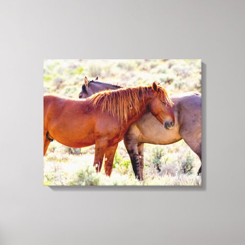 Wild Horses Canvas Print