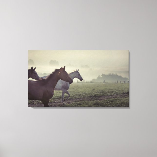 Wild horses canvas print (Front)