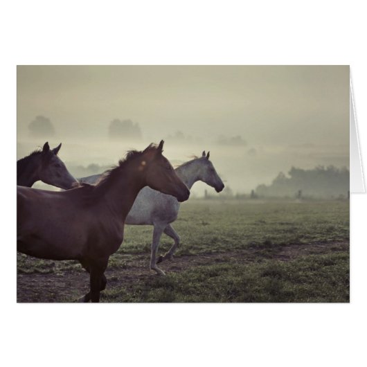 Wild horses cards (Front Horizontal)