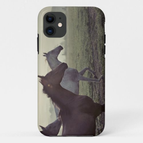 Wild horses iPhone 11 case
