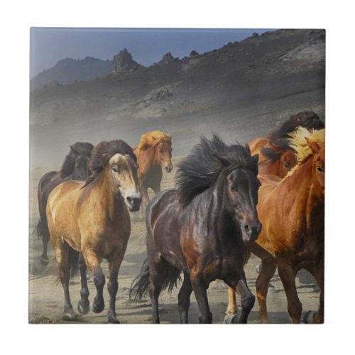 Wild Horses Ceramic Tile