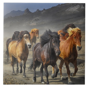Wild horses ceramic tile