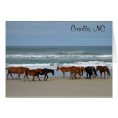 Wild Horses Corolla NC card (Front Horizontal)