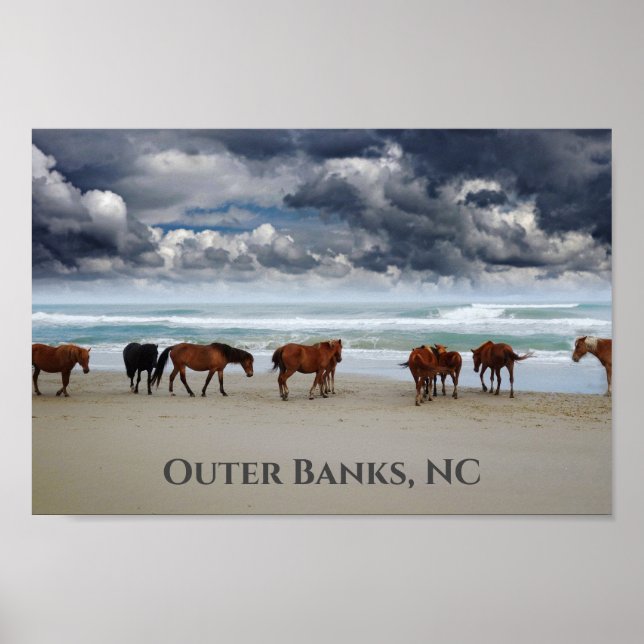 Wild Horses Corolla Outer Banks NC Poster (Front)