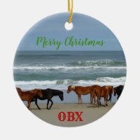 Wild Horses Corolla Outer Banks OBX