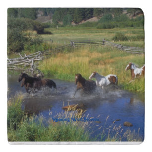 Wild Horses Countryside Equestrian Marble  Trivet