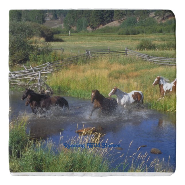 Wild Horses Countryside Equestrian Marble  Trivet (Front)