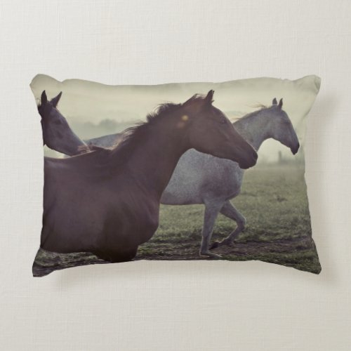 Wild horses decorative pillow