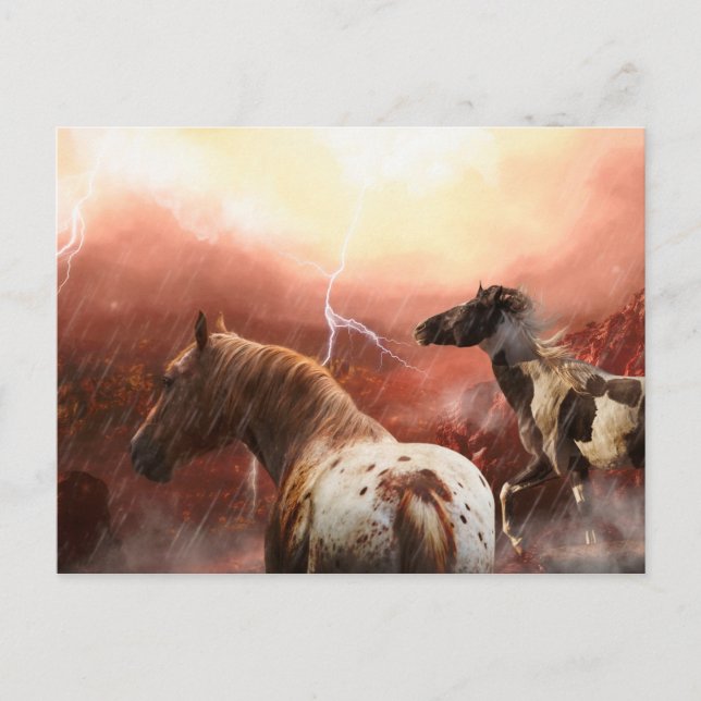 WILD HORSES DESERT STORM POSTCARD (Front)