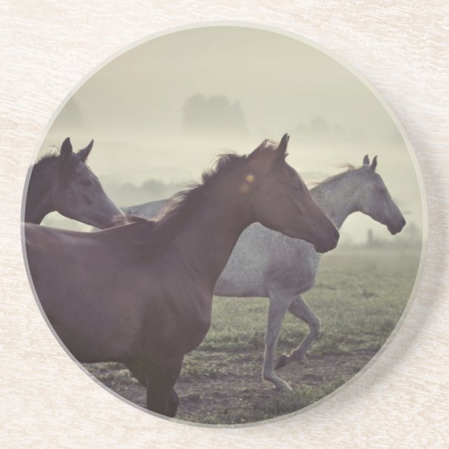 Wild horses drink coaster (Front)