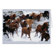 Wild Horses Driven (Front Horizontal)