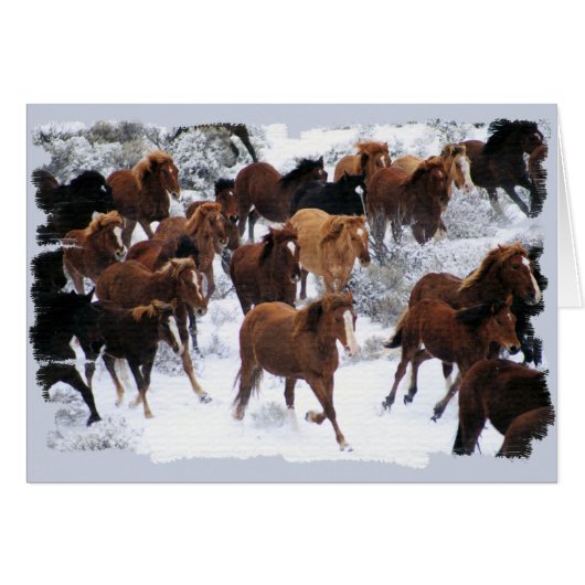Wild Horses Driven Cards (Front Horizontal)