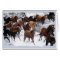Wild Horses Driven